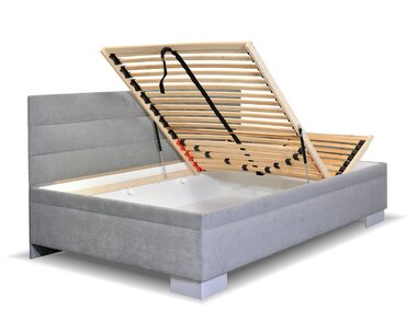 Niobe s dlouhým čelem - detail Niobe s dlouhým čelem - detail