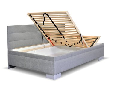 Niobe s dlouhým čelem - detail Niobe s dlouhým čelem - detail