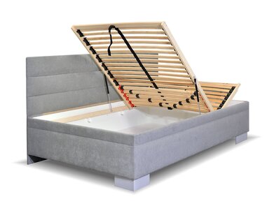 Niobe s dlouhým čelem - detail Niobe s dlouhým čelem - detail