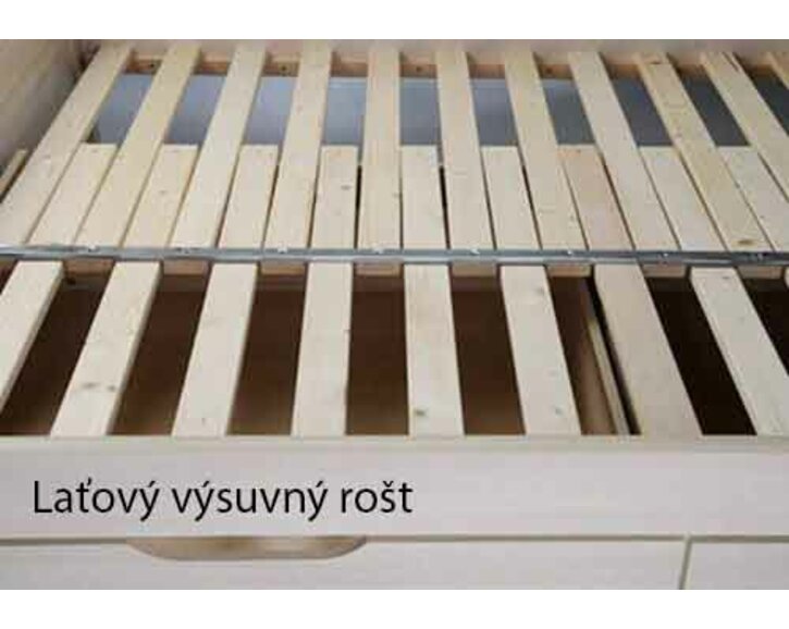 latový rost BMB.jpg latový rost BMB.jpg